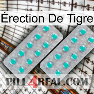 Érection De Tigre 29